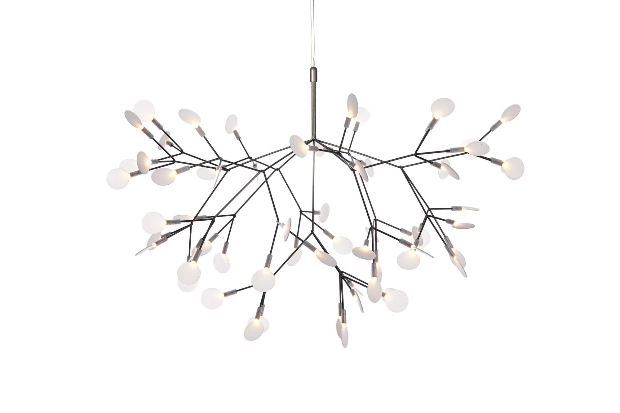 Heracleum II Suspended